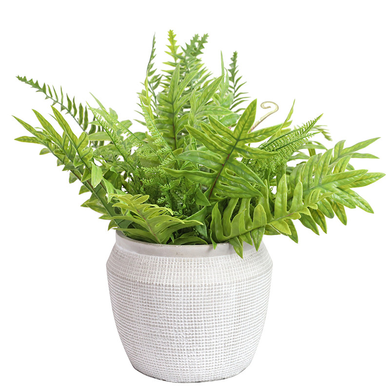 仿真蕨类植物把束假草装饰仿真草叶子绿植盆栽配材假植物造景墙饰