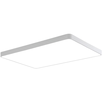 现代简约led飞利浦吸顶灯