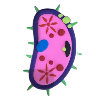 制作草履虫生物细胞模型手工动物植物材料包初高中生物细胞模型