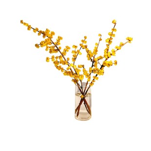 腊梅花鲜花水养鲜切花干枝蜡梅鲜花年宵花卉水培植物花束客厅摆设