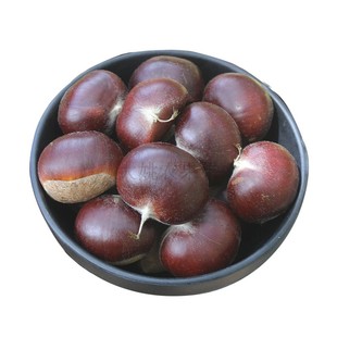 2025板栗生新鲜云南老树油栗子野生毛栗子迁西板栗野生锥毛栗子