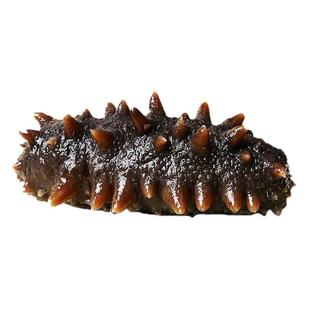 即食海参单个装大连刺参辽参辽宁野生海参即食500g鲜活冷冻水产