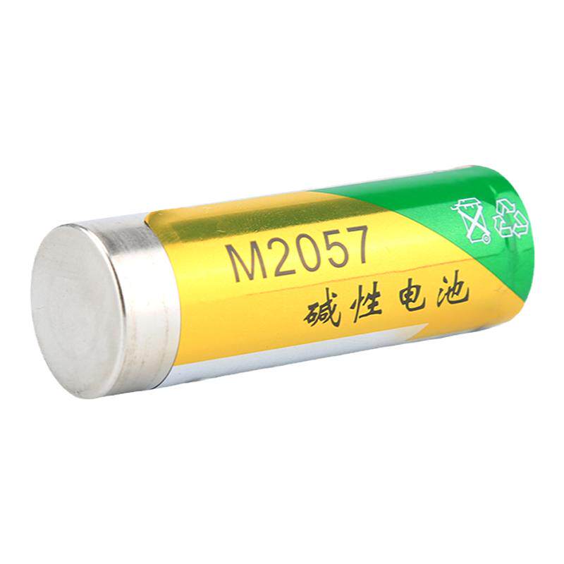 诺星M2057/LR12 1.5V碱性电池浪天LT-Z18电动牙刷专用电池6000mAh