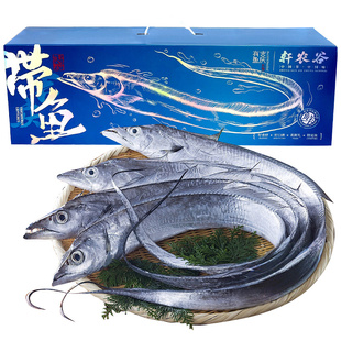 舟山带鱼礼盒鲜活新鲜冷冻海鲜小眼钓带鱼鲜带鱼特大海鱼刀鱼年货