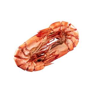 北海特产特大烤虾干九节虾干即食竹节虾干水产干货精品对虾干海鲜