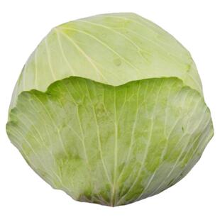 四川新鲜莲花白薄皮老品种包菜打霜时令蔬菜甘蓝手撕包心菜牛心白