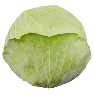 四川新鲜莲花白老品种薄皮包菜