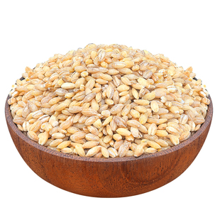 东北胚芽糙米25年农家自产新米玄米粗粮农家主食五谷杂粮5斤