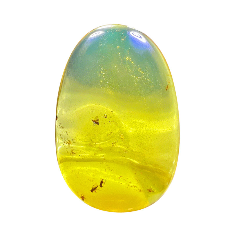 纯天然琥珀蜜蜡蜜蜂虫珀昆虫化石