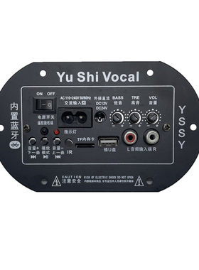 YS二用蓝牙数字功放板12V/220V