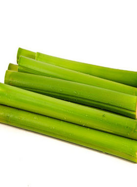 新鲜甜竹磨牙棒宠物苹果枝磨牙饼