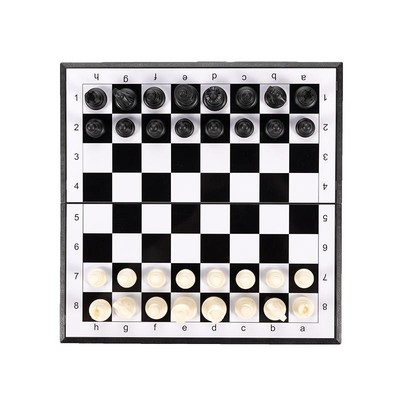 磁石国际象棋带磁性儿童小学生