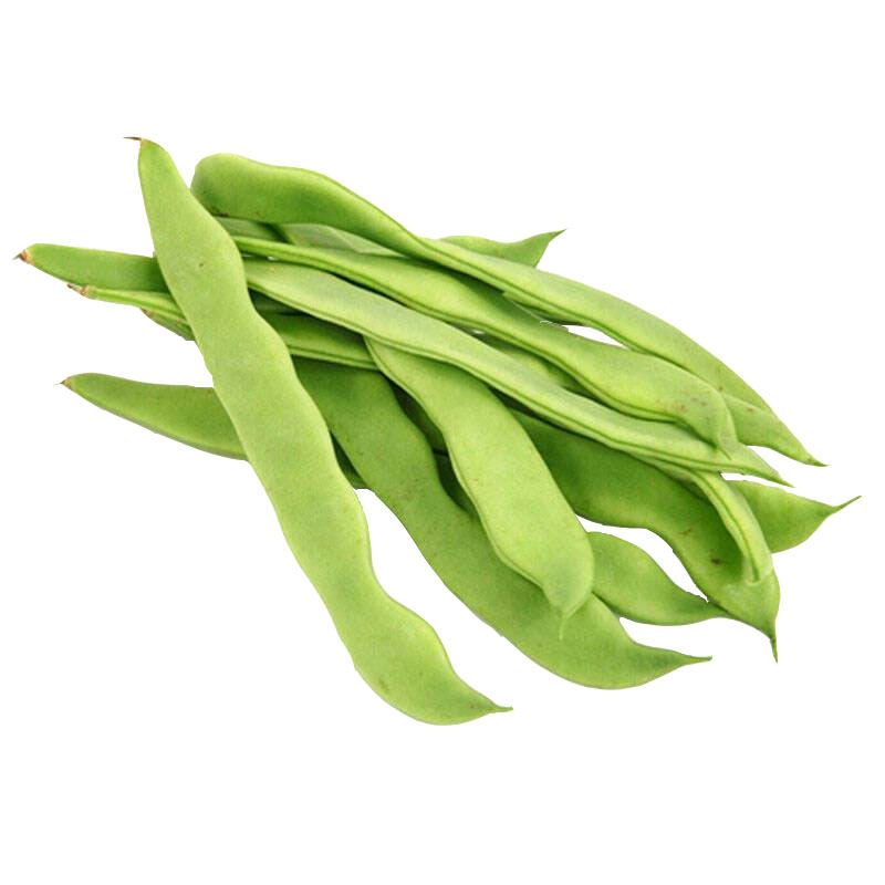 东北大宽油豆角种籽四季农家黑龙江蔬菜豆角种孑无架豆菜籽种大全