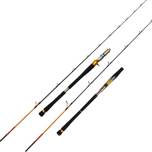 浩渔工坊悍匪金枪版近海铁板竿船钓竿手持电绞杆富士金导环