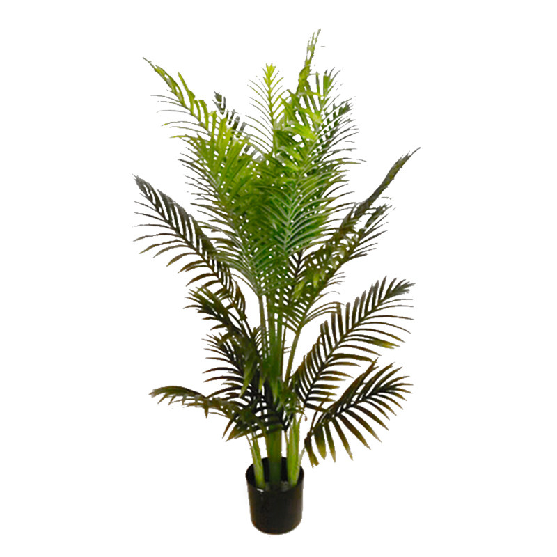 舞台道具散尾葵仿真植物