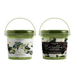 强力除垢洗衣机EVERSHINE