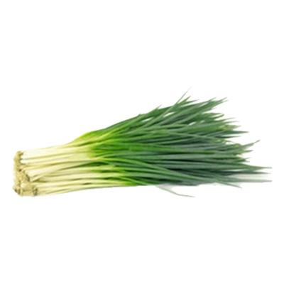 蔬菜种子鸡毛菠小葱香秋葵