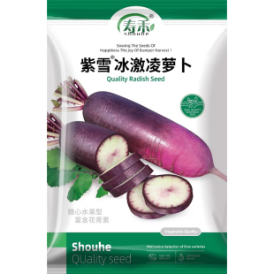 彩虹胡萝卜种子特色五彩水果萝卜种子四季阳台正品籽种蔬菜孑菜籽