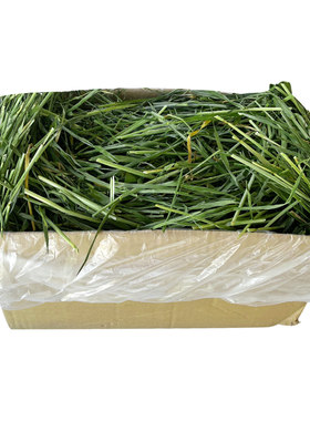 26年小麦草香嫩好吃牧草口感棒棒