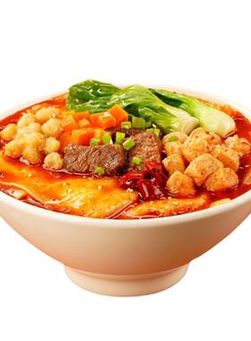 阿宽四川大碗宽面铺盖面