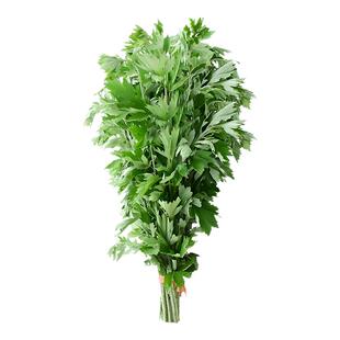 艾草新鲜门挂驱蚊熏香端午节野生整株带叶无根现摘艾叶花束套装