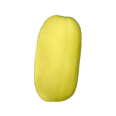 黄皮笋瓜种子白玉高产四季