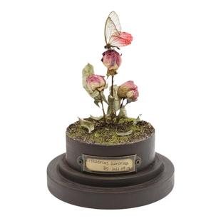 【玫瑰】玫瑰水晶眼蝶蝴蝶标本微景观玻璃罩摆件收藏品女生礼物