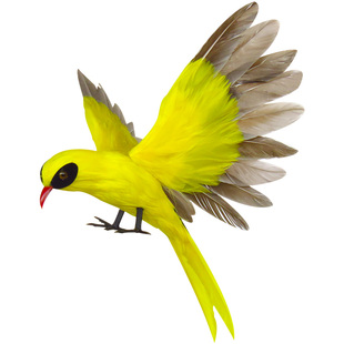 新品仿真黄鹂鸟真羽毛摆件手工彩色小鸟家居创意装饰教学摄影道具