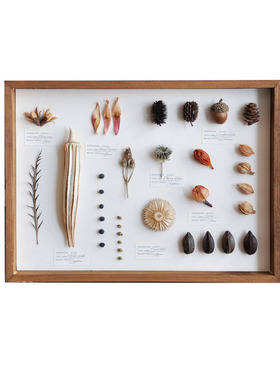 实木相框复古怀旧书房植物便宜