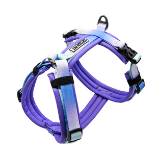 FIFTEEN PET 宠物胸背工字背狗狗遛狗绳时尚城市出行狗狗用品柯基