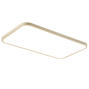 超薄客厅2025新款主灯led护眼卧室房间吸顶灯led护眼书房餐厅灯具