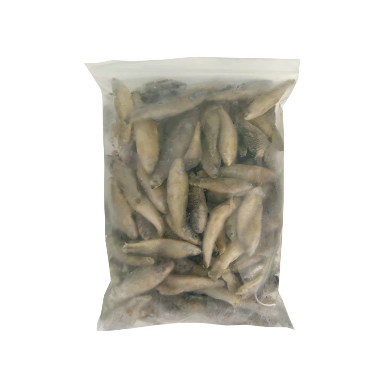 冷冻麦穗鱼龙鱼饲料山根鱼小河虾