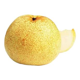 正宗安徽砀山梨原产地发货当季整箱冰糖酥梨核心果园大果现摘现发