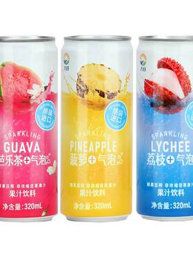 菠萝气泡果汁饮料荔枝味气泡水