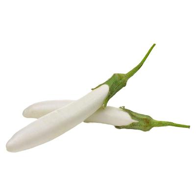 白长茄苗子白长茄秧苗四季蔬菜苗