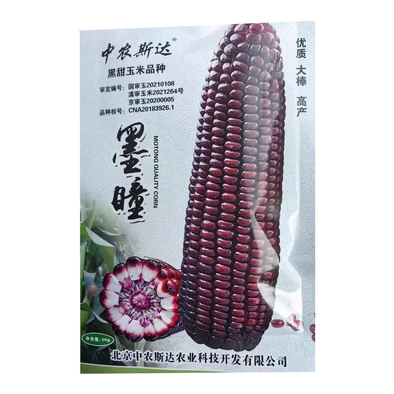 墨瞳黑甜玉米种子鲜食味甜口感软糯水果型甜脆玉米黑甜玉米种籽