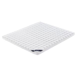 棕榈垫床垫家用椰棕环保0甲醛护腰榻榻米儿童黄麻床垫席梦思10cm