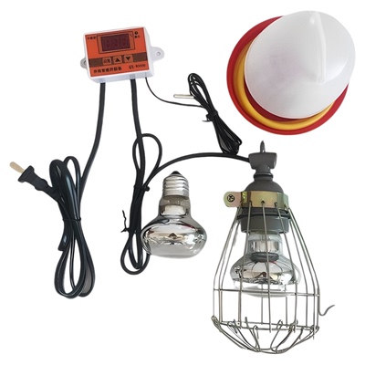 雏鸟宠物自动控制温度保温箱