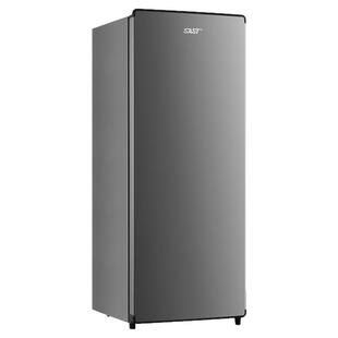 SAST立式冷柜全冷冻风冷无霜冰箱小型侧开门家商用锁鲜速冻小冰柜