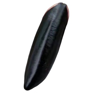 黑金烧烤茄子一代杂交中早熟品种蔬菜种子耐寒耐热茄子种孑禾之元