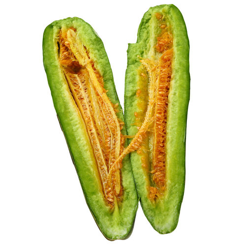 羊角蜜瓜酥甜瓜种子种籽苗蔬菜孑秧脆高产香瓜四季大全玉菇密秧苗