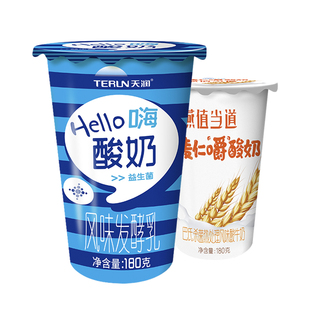 顺丰天润益生菌酸奶hello原味颜值当道低温酸牛奶早餐180gx12杯装