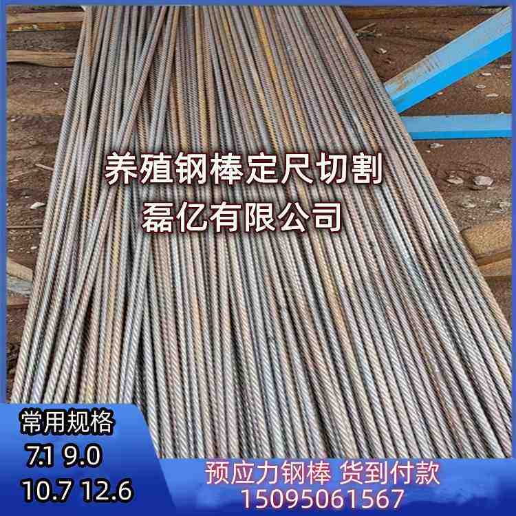 养殖场漏粪板专用钢棒加工定尺长短10.7 12.6耐腐蚀养猪pc钢棒厂