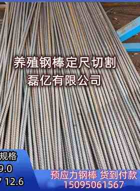 养殖场漏粪板专用钢棒加工定尺长短10.7 12.6耐腐蚀养猪pc钢棒厂