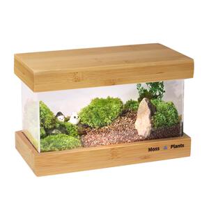 苔藓微景观生态雨林缸桌面宿舍摆件盆栽植物办公室diy生态瓶礼物