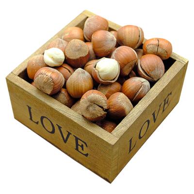 原味东北特产山脚下开口大榛子