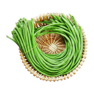 长豆角苗秧苗带土四季摘不败豆角种子老品种豇豆秧苗秋季蔬菜种籽