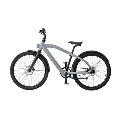 荷兰BIJEN百迎智能自行车长续航