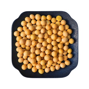 2斤非转基因黄豆农家自种大豆笨黄豆土黄豆豆浆原料材料散装新货