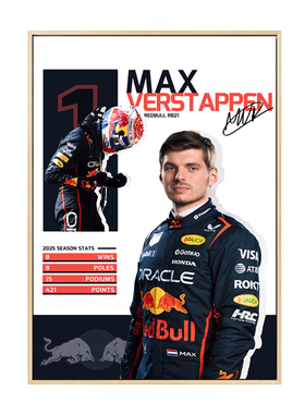 F1维斯塔潘轻奢客厅装饰画